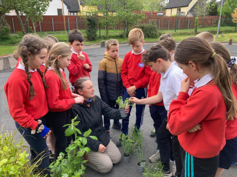 Gardening at school irish class